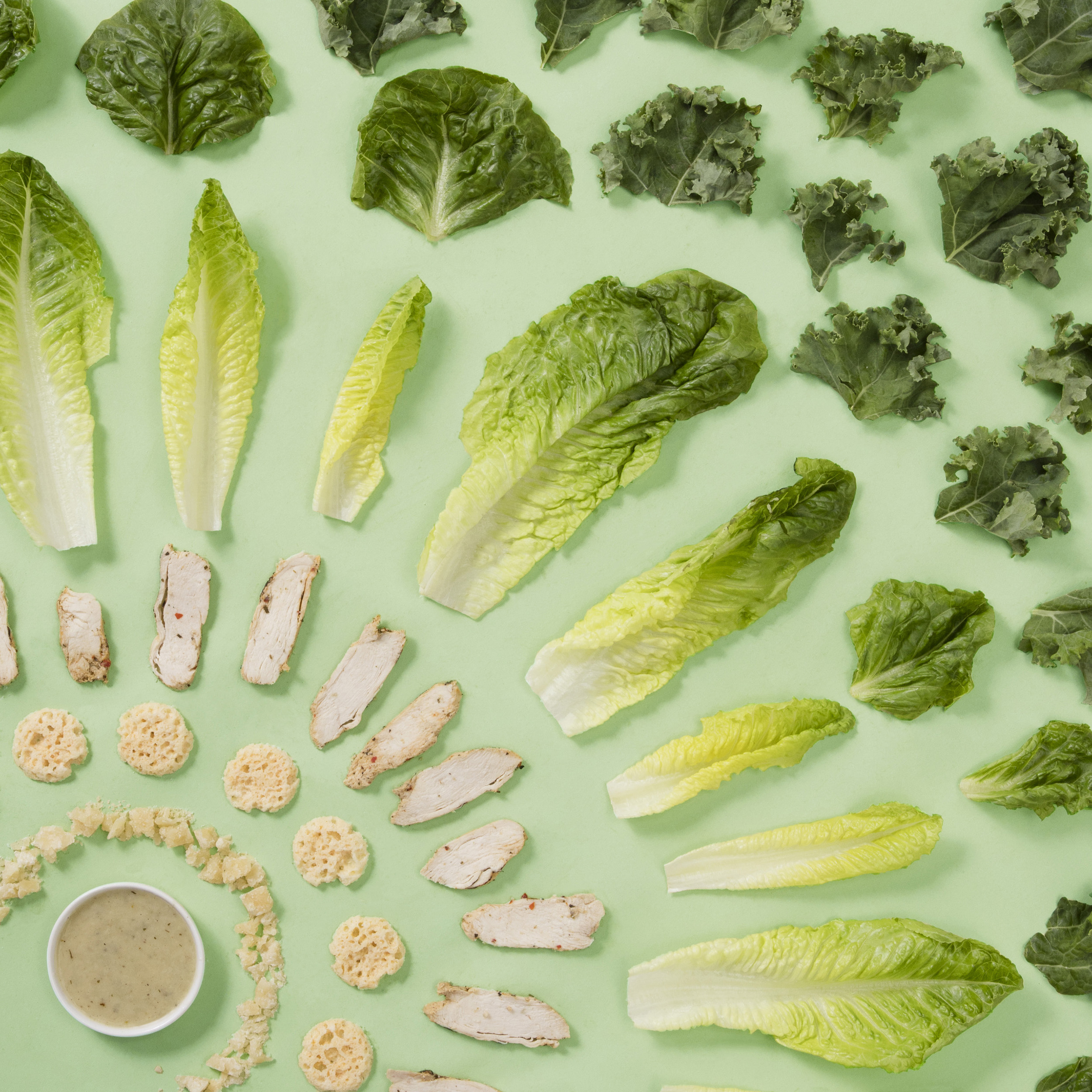 PANERA LETTUCE
